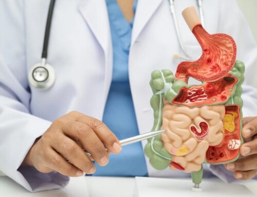 Die Verdauung als Zentrum der Gesundheit