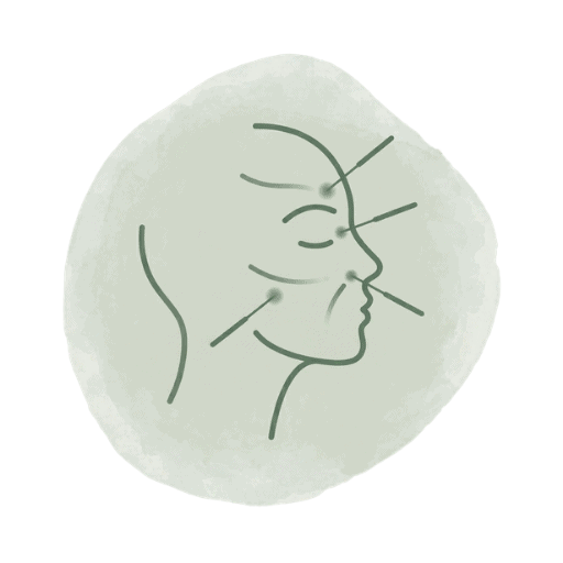 Illustration eines Gesichts mit Linien, die Akupunkturpunkte und Gesichtspunkte markieren, für Hautpflege und kosmetische Behandlungen.